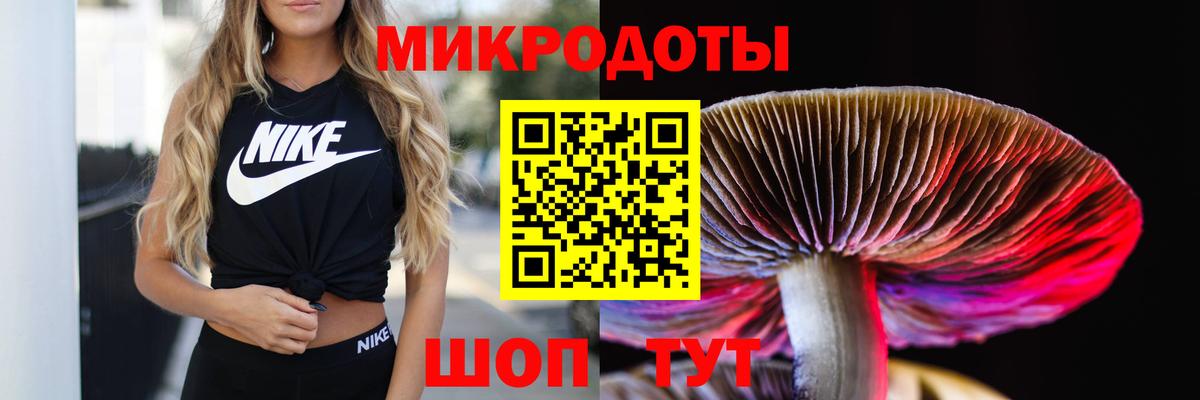 Псилоцибиновые грибы MAGIC MUSHROOMS Карабулак